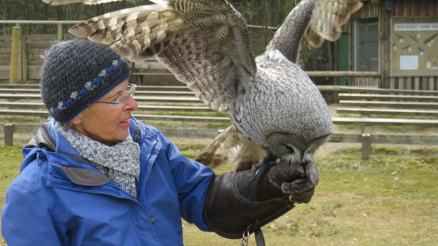 Wunschfahrt zum Wildpark Eekholt